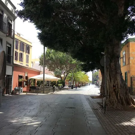 Apartment Orchideas House Centrico Y Acogedor Vacacional En Cruz *